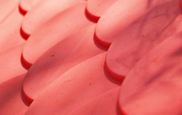 Westbere plastic roof costs