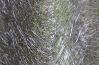 Westbere fibreglass roof work